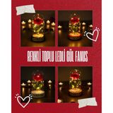 Renkli Toplu Ledli Gül Fanus 24242453511