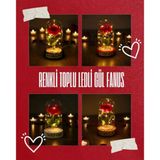 Renkli Toplu Ledli Gül Fanus