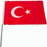 Renklime Ay Yıldız Türk Bayrağı 20*30 cm - Kırmızı