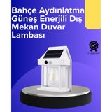Renklime Güneş Enerjili Hareket Sensörlü Duvar Lambası - Lisinya