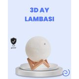 Renklime Rgb Modlu 16 Renkli Ay Gece Lambası 3D Baskı