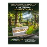 renkmar 6 Gözlü Izgaralı Tekli Yemlik ve Mamalık Muhabbet Kuşu Papağan Kanarya civciv Hint bülbülü Yemliği