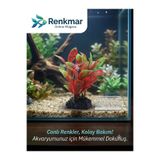renkmar Akvaryum Yapay Bitki Dekor 7-10 cm - Canlı Renkli Süs Bitkisi