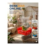 renkmar Kırmızı kuş banyoluğu muhabbet kanarya ispinoz vb kuşlar