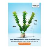 renkmar Yapay Akvaryum Bitkisi 17 cm - Doğal Görünümlü Canlı Renkli Akvaryum FANUS Dekorasyonu