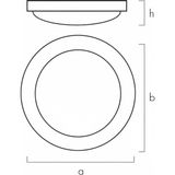 Renksan 30CM 18W Modern LED Tavan Armatürü Glop