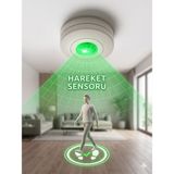 Renksan 360° Sıva Üstü Hareket Sensörü