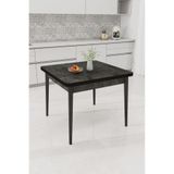 Renlife 70x70 Küçük Yemek Masası | Metal Ayaklı Kompakt Mutfak Masası | 2 Kişilik Minimal Masa (ARİS GRİ)