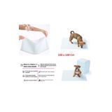 Rennway Yıkanabilir Köpek Çiş Pedi - 100 x 100 cm