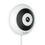 REOLINK PoE IP Balık Gözü Kamera, 360° Görünüm, Ev/Ofis Güvenliği için 6MP İç Mekan Kamerası, Akıllı İnsan Algılama, İki Yönlü Konuşma, Tavan/Duvar/Masa Montajı, Çoklu Ekran Görünümü, FE-P (Beyaz)