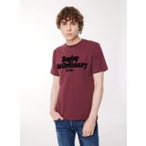 Replay Bisiklet Yaka Baskılı Bordo Erkek T-Shirt M6646 164 AMARANTH RED