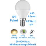 Repplam ACK 5W Top Ampul Günışığı E14 Ince Duylu Avize Ampulü 480 Lümen Küçük Ampul - 5 Adet