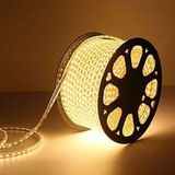 Repplam Hortum LED Günışığı Metrede 120 Ledli Yüksek Işık 220 Volt Fişli Tak Çalıştır Şerit LED Işık - 14 m - Gün Işığı
