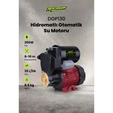 Reschmann Reschman R-DPG130 Hidromatlı Otomatik Su Motoru Bahçe Pompası 0.50HP Bakır Sargı
