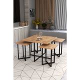 Retodesign Açelya Kare Orta Sehpa Ve 4 Zigon Sehpalı Takım 5005