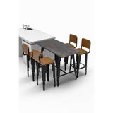 Retodesign LOTUS 60/120 BAR MASASI 4 SANDALYELİ TAKIM 9200