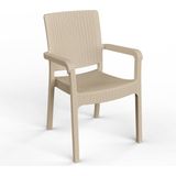 Retro Art Hilton Plastik Sandalye 2'li - Cappuccino