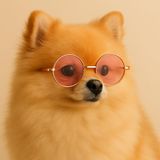 Retro Yuvarlak Evcil Hayvan Güneş Gözlüğü, Altın Metal Çerçeve, Renkli Lens, Kedi ve Köpekler için Moda Aksesuarı (PEMBE)
