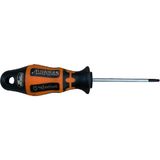 Retta Delikli Tork TORNAVIDAT15*80 mm RXT1015 - 001-Renkli - 12