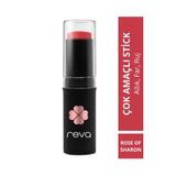 REVA Çok Amaçlı Stick Allık, Far, Dudak Renklendirici & Lip Cheek Eye Tint-vegan & Temiz Içerikrv110