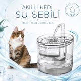 Rey Point Kedi Su Pınarı Sebil