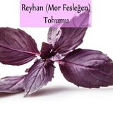 Reyhan Tohumu 1 Paket (3Gr=100+ Adet) Mor Reyhan Tohumu Mor Fesleğen Tohumu