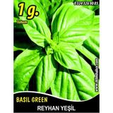 Reyhan Tohumu Fesleğen Yeşil Renk Pk ~1 g (~ Takribi 350 Tohum)