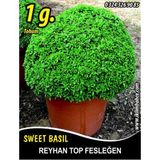 Reyhan Tohumu Top Fesleğen Sinekkanadı - ~1 G (~ Takribi 350 Tohum)