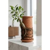 Reyo Canlı Saksı Hidroponik El Yapımı Topraksız Saksı, Terracotta Doğal Kil Saksı
