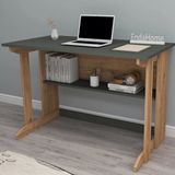 Reyo Home Enda Pillar Kütüphaneli Geniş Çalışma Masası 100 x 56 cm Çam - Antrasit - 100 x 74 x 56