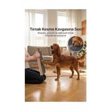 Reyo Köpekür Köpekler Için Tırnak Törpüleyen Tırmalama ve Eğitim Tahtası - 00-Siyah - Beyaz