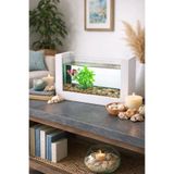 Reyo Ok-Ay Store Beta Balığı Için Ahşap Mini Akvaryum Modern Şık Doğal Minimal Tasarım Akvaryum Beyaz