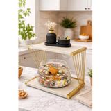 Reyo OK-AY Store Exclusive Işıklı Beta Akvaryum ve Fanus Modern Tasarım LED Aydınlatmalı Modern Temalı Fanus Gold-Krem