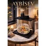 Reyo Ok-Ay Store Exclusive Işıklı Beta Akvaryum ve Fanus Modern Tasarım LED Aydınlatmalı Modern Temalı Fanus Siyah-Siyah - Siyah - Siyah