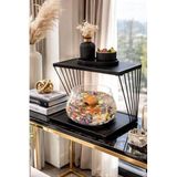 Reyo OK-AY Store Exclusive Işıklı Beta Akvaryum ve Fanus Modern Tasarım LED Aydınlatmalı Modern Temalı Fanus Siyah-Siyah