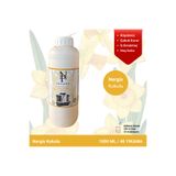 Reyonplus Nespro Halı ve Koltuk Yıkama Makinesi Şampuanı/Deterjanı - Nergis Kokulu Köpüksüz 1 Lt