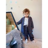 RG Brand Erkek Bebek %100 Keten Kumaş Takım Elbise, 3'lü Takım_RG327 - Lacivert - 2 Yaş - Regular Fit