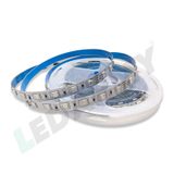RGB LED Şerit Bant 5 Metre 24V 5050 SMD 60 LED/m IP20 İç Mekan Aydınlatma