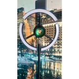 RGB Modern Led Lambader Dim Edilebilir Oturma odası Çalışma odası SİYAH RENK