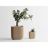 Rib Rounded Cube Dekoratif Saksı - Bej Kare Desenli Modern Bitki Saksısı 8 cm - 80x80x80mm