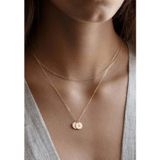Ricco Jewellery 14 K Gold Kaplama 925 Ayar Gümüş El Işi Zarif Baş Harf Çift Plaka Kolye