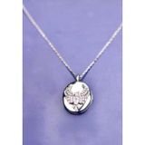 Ricco Jewellery 14 K White Gold Kaplama 925 Ayar Gümüş Anka Kuşu Kapaklı Açılır Kapanır Fotoğraflık Kolye