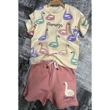 Riccotarz Kız Çocuk Flamingo Baskılı Kısa Kollu Pudra Şortlu Takım - 3 - 4 Yaş