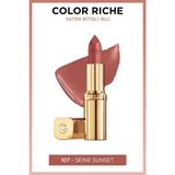 Riche Bitişli Ruj - 107 Seine Sunset Nude - Siyah