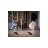 RICHIE Mini Böcek Haraketli Kedi Oyuncağı Süper Yeni Model Titreşimle Hareket Ediyor