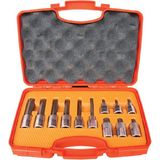 Rico 1/2 M Tipi Torx Lokma Uç Seti Takımı 12 Parça
