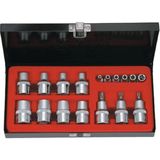 Rico 1/2 ve 1/4 18 Parça Torx Uçlu Lokma Takımı