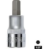 Rico H19 1/2 19 mm Lokmalı Allen Kısa Uç