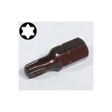 Rico T50 Mıknatıslı 10x30 mm Torx Bits Uç