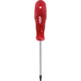 Rico Torx Star Tornavida Delikli T15